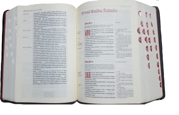 Bible-1