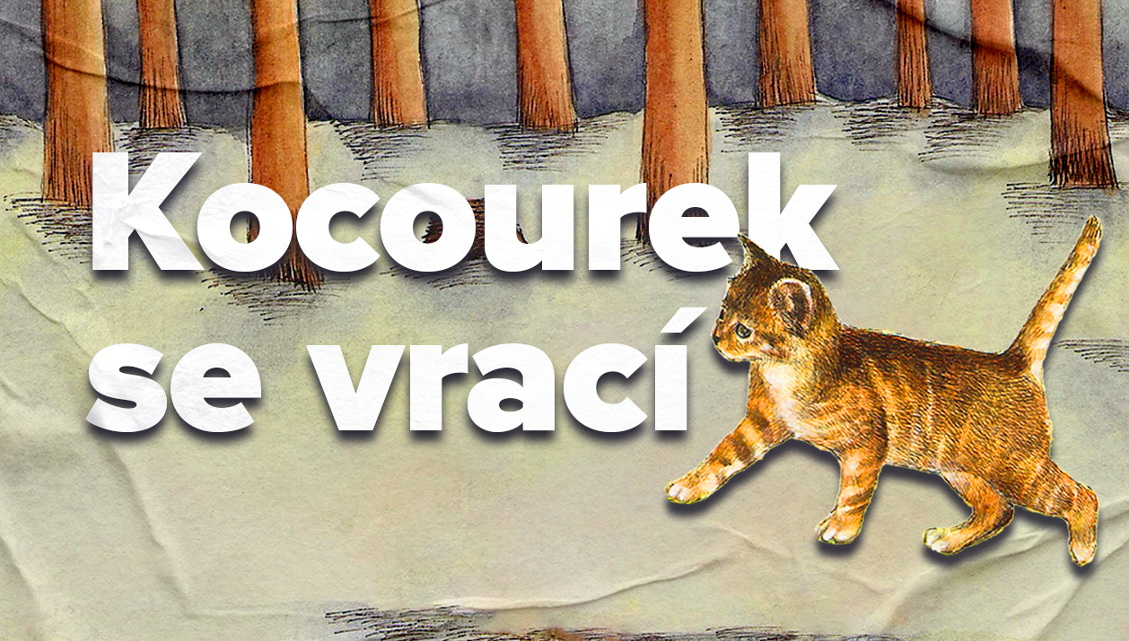 Kocourek se vraci - obecna grafika