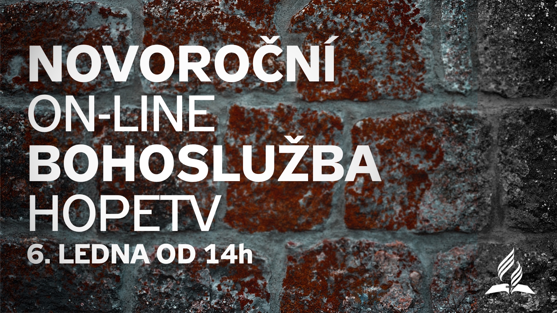 Novorocni-hopetv2024