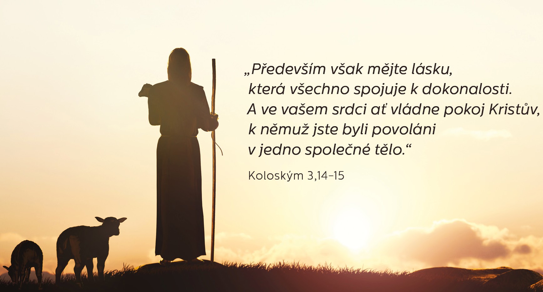 Pf_unie_2025_czsmall